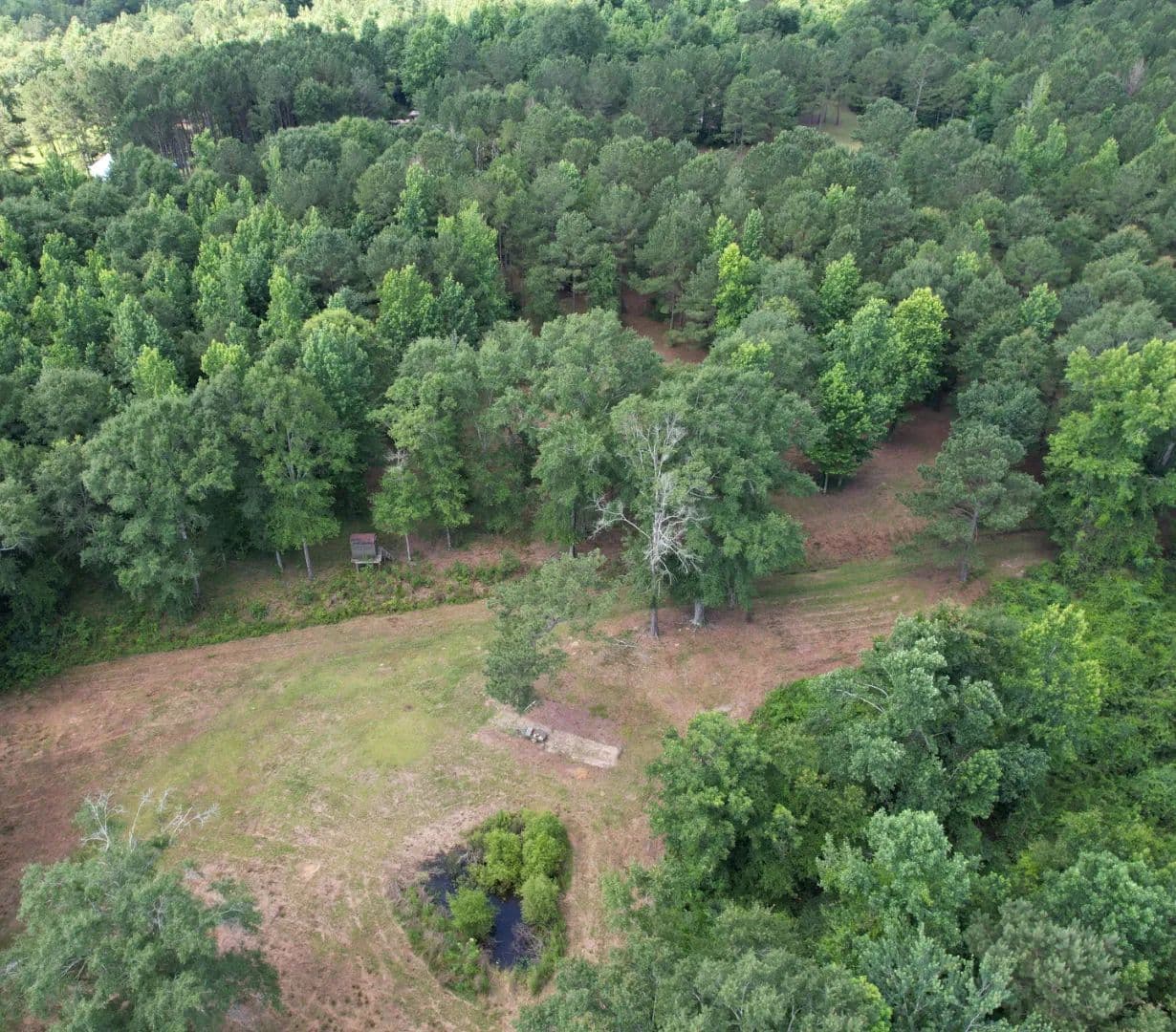 47 Acres in Covington County in Taylorsville, MS - Taylorsville, Mississippi, 39168