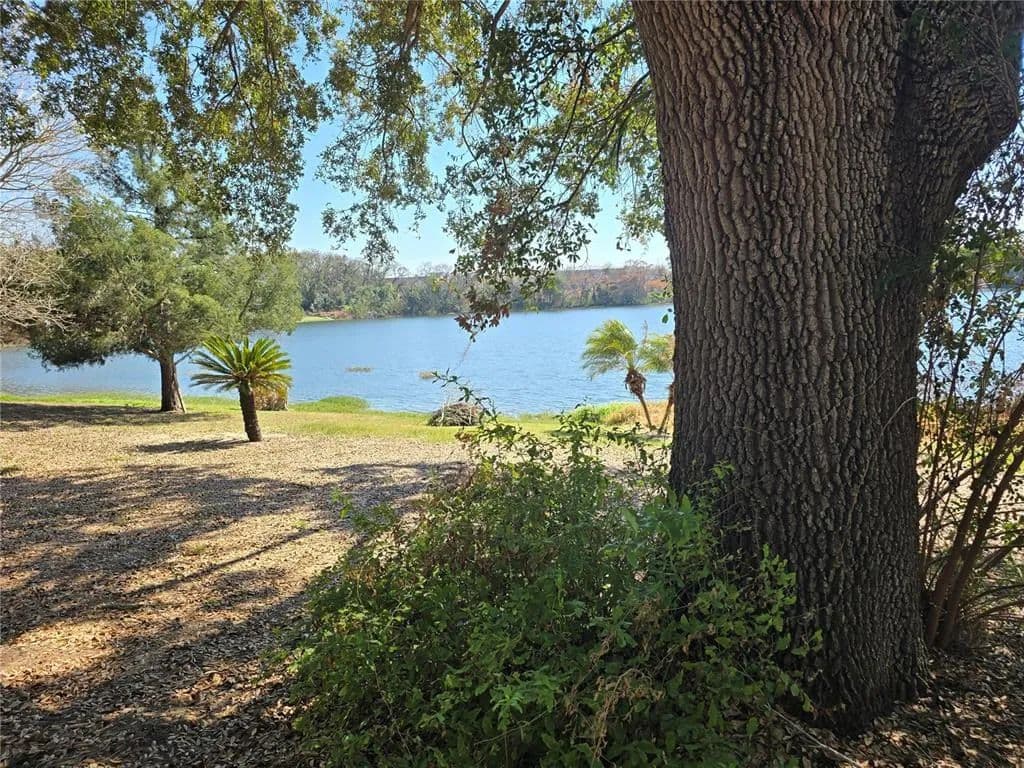 Vacant Land in Eustis - Eustis, Florida, 32726
