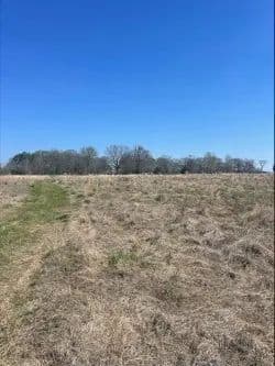 Land -Agricultural (Not Zoned) in Hickory Plains - Hickory Plains, Arkansas, 72066