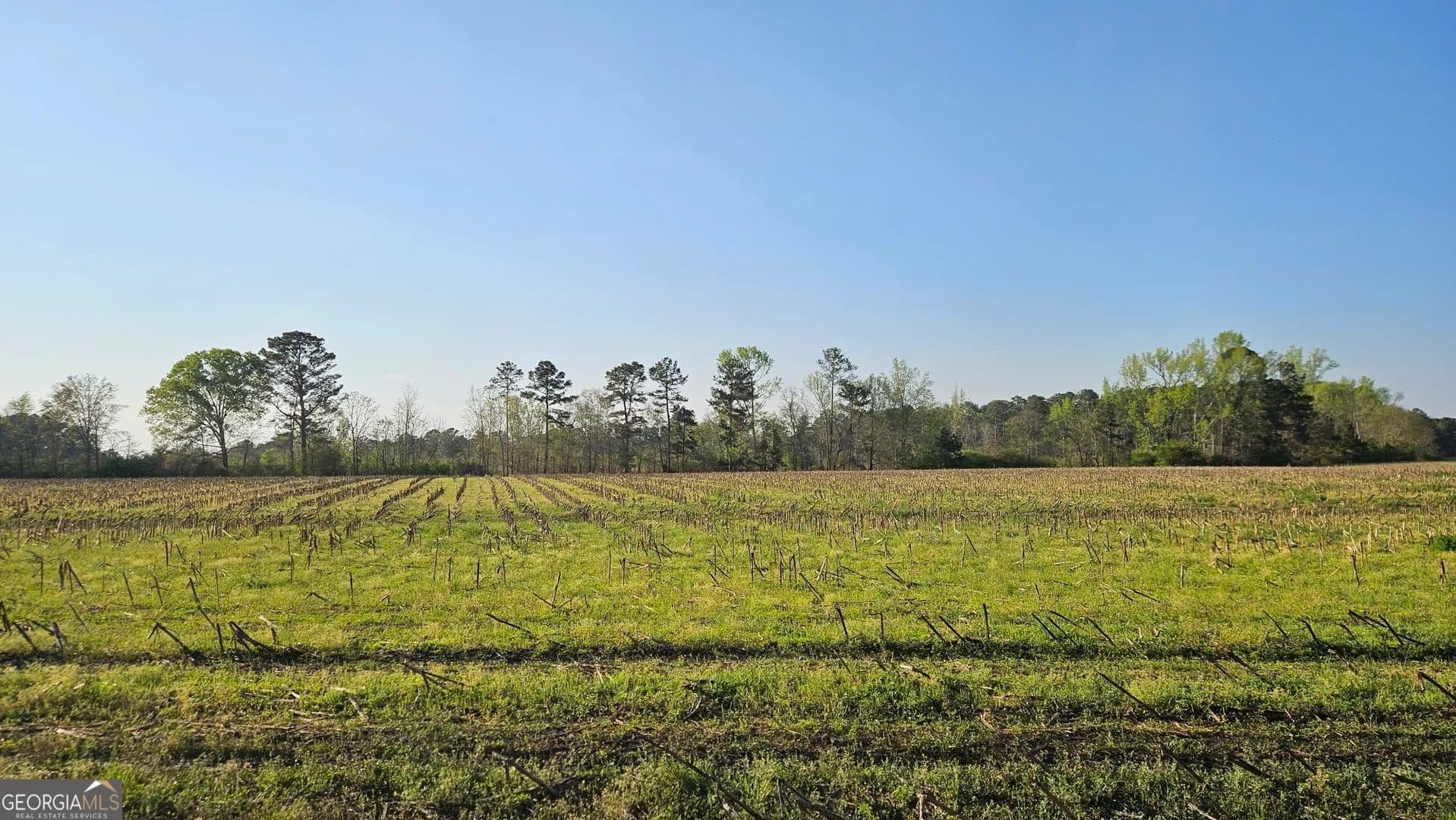 Property from 0 Shiloh Road - KW - Greensboro, Georgia, 30642