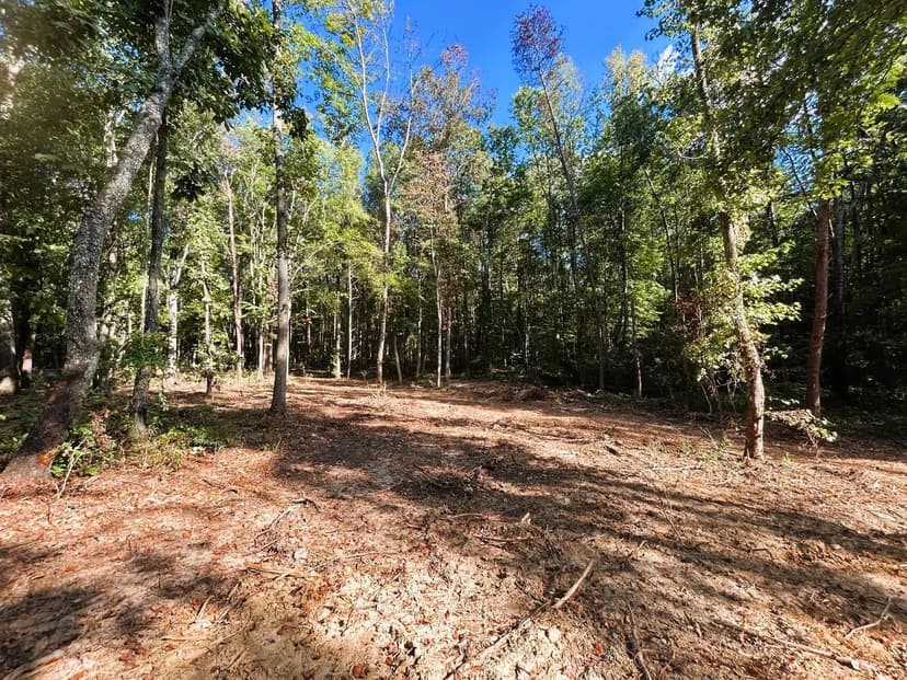 Property from Tract 4 Pleasant Hill Road - KW