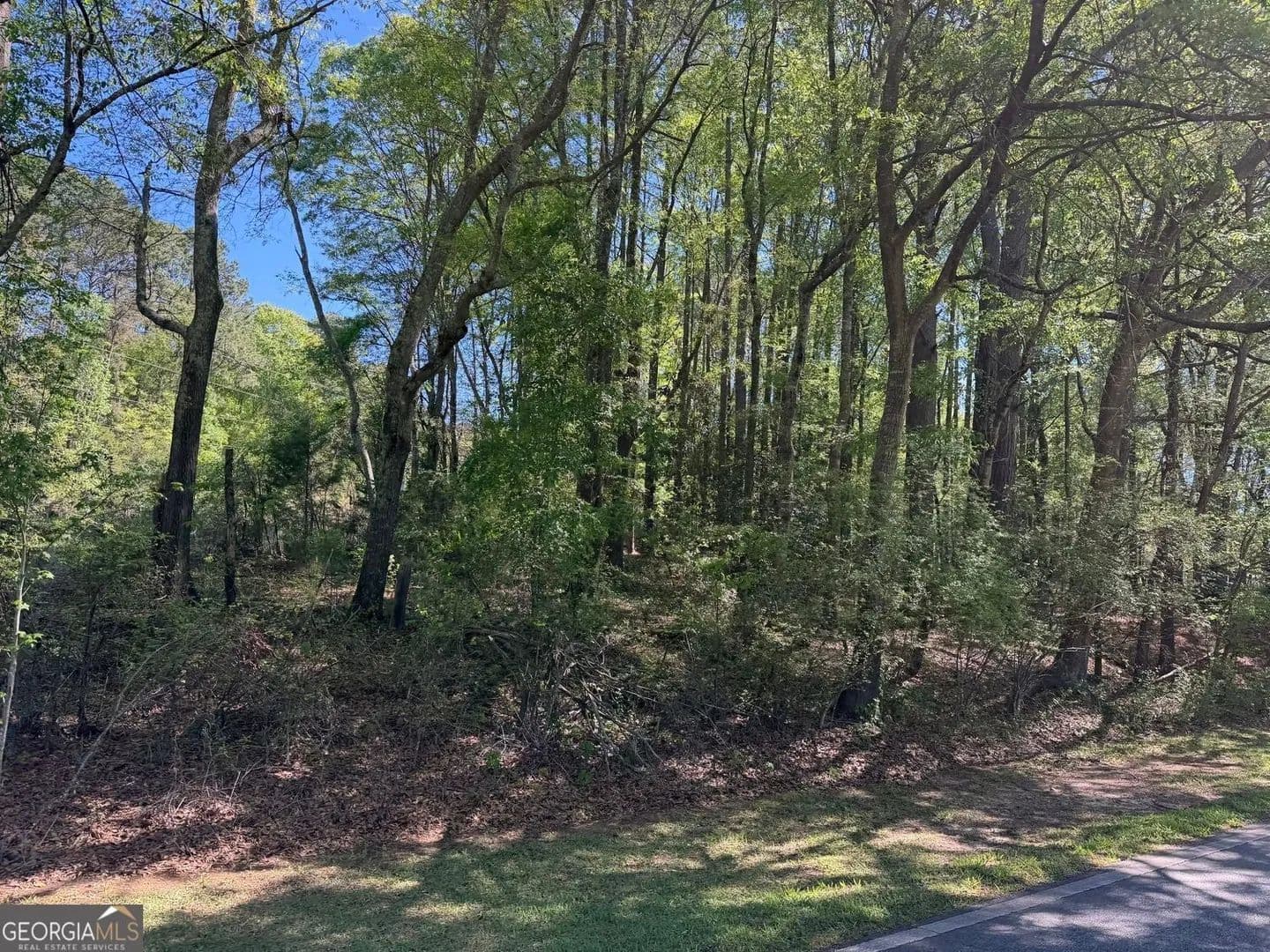 Lots & Land-Other in Concord - Concord, Georgia, 30206