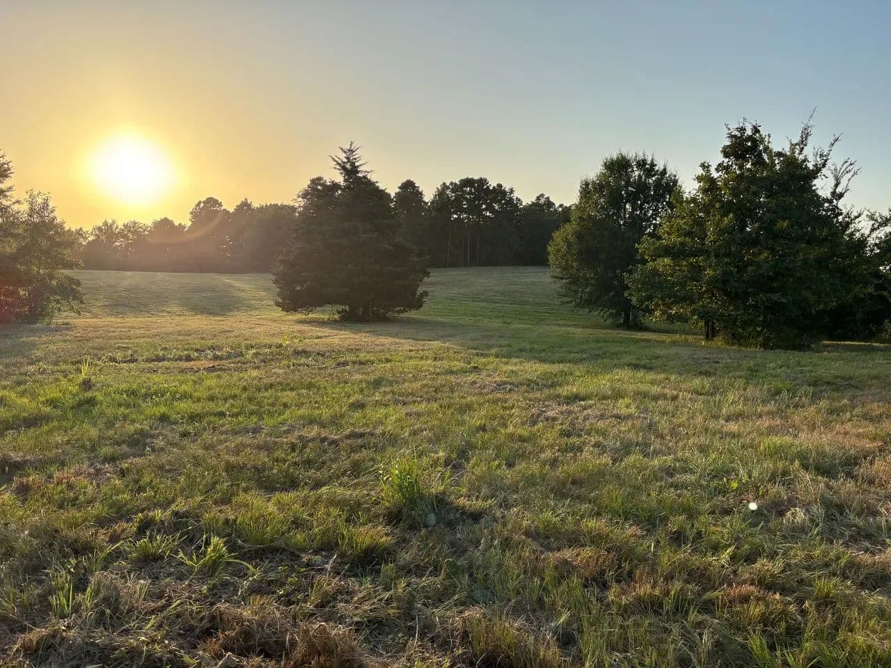 40 Acres with 2 Ponds | Build, Hunt & Ranch Near Pine Creek Lake - Ringold, Oklahoma, 74754
