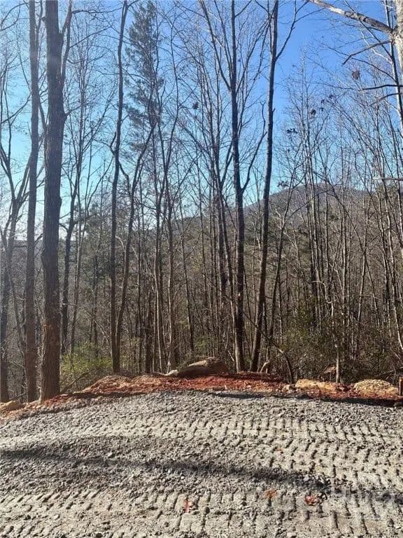 Vacant Land in Sautee Nacoochee