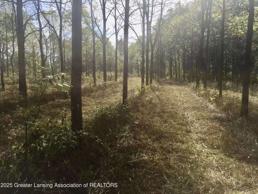 Lots & Land-Other in DeWitt