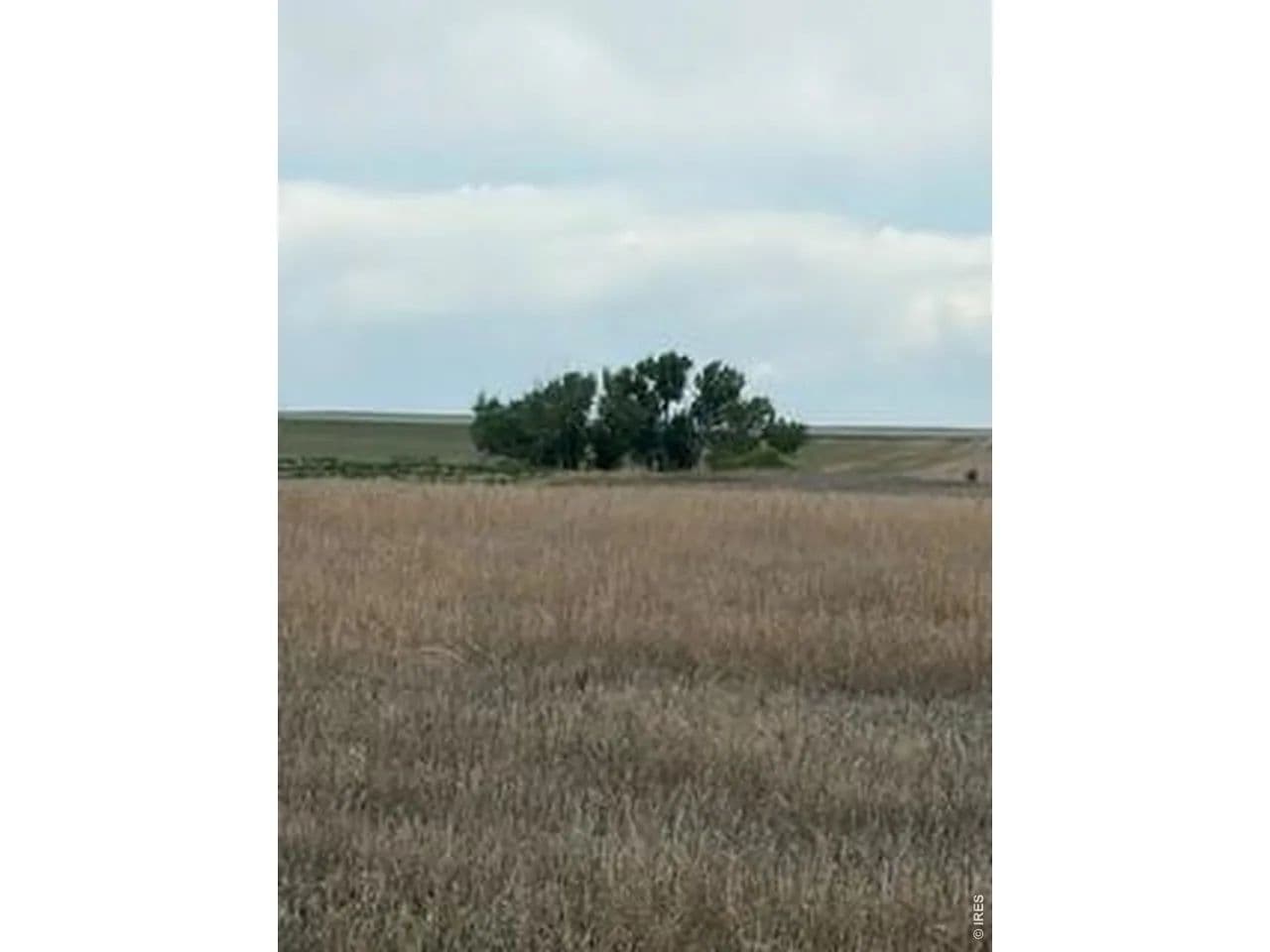 Property from Peoria Crossing Rd - KW - Bennett, Colorado, 80102