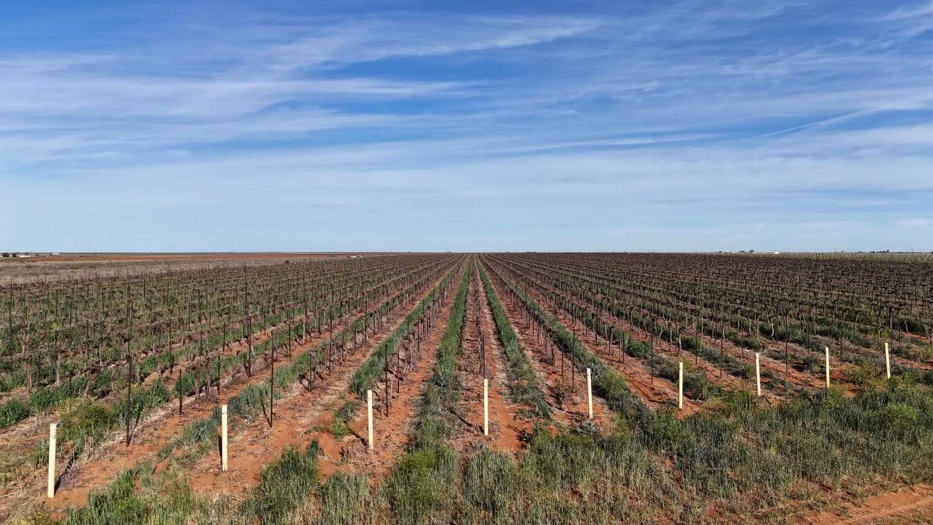 85 Acres of Land for Sale in Meadow, TX - Meadow, Texas, 79345