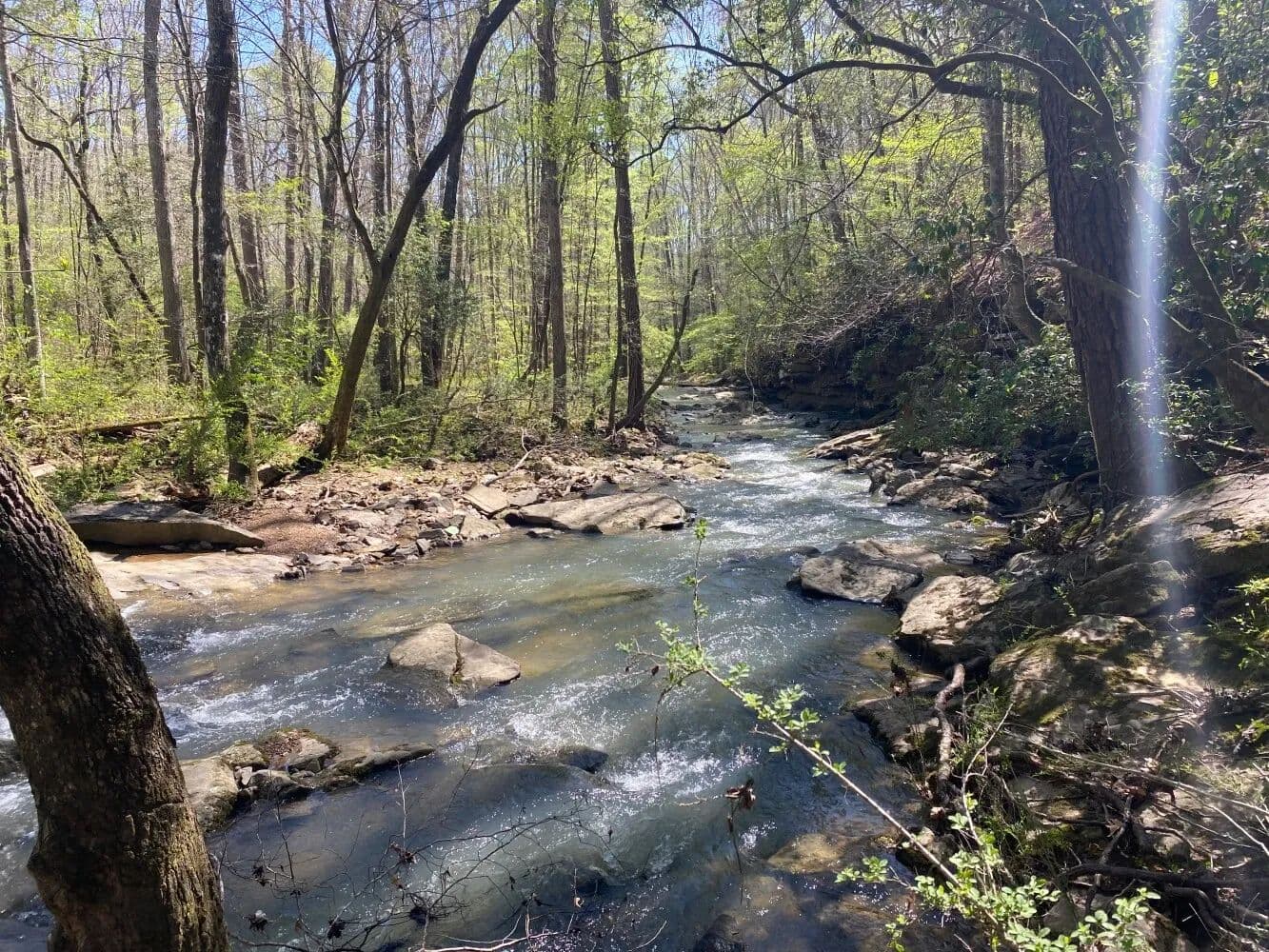 Chaney Branch Lot 12 - Cullman, Alabama, 35057