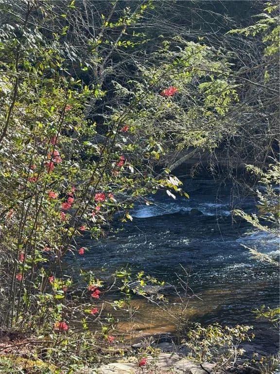 Vacant Land in Dahlonega