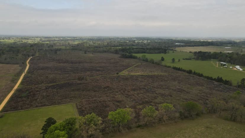 78 Acres in Hempstead County, AR