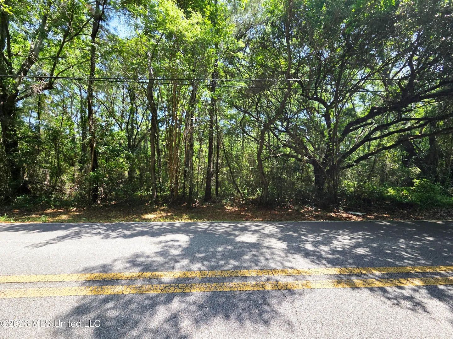 Vacant Land in Gautier - Gautier, Mississippi, 39553