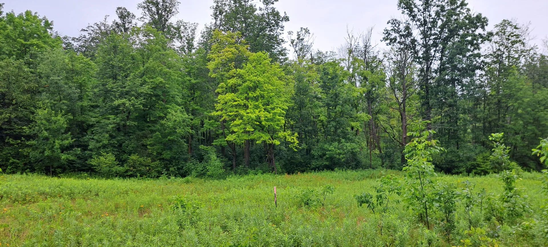 Lots & Land-Other in Stone Lake - Stone Lake, Wisconsin, 54876
