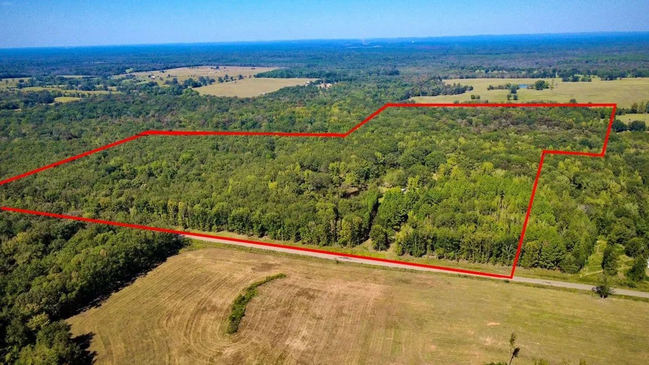 114 Acres with Goodwater Creek | Prime Hunting Land Bordering Ouachita WMA - Haworth, Oklahoma, 74740