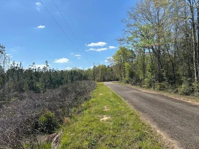 6.43 Acres| Pike County, MS