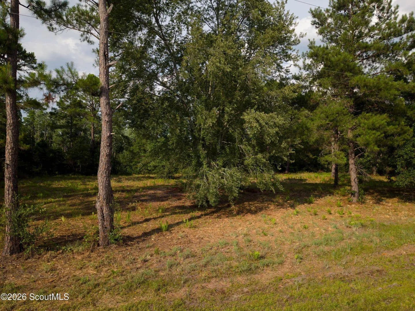 Lots & Land-Other in Folkston - Folkston, Georgia, 31537