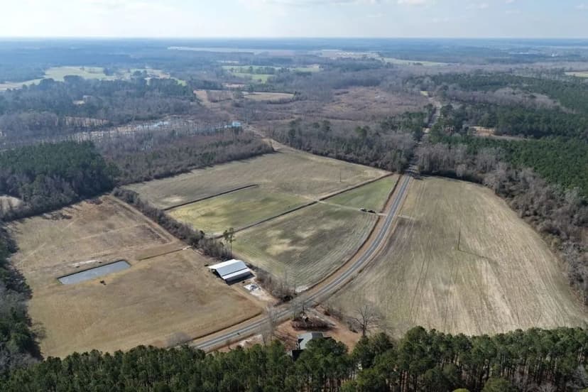 UNDER CONTRACT!!  44.35  Acres of Residential Agriculture Land & Timberland For Sale in Bladen County, NC!