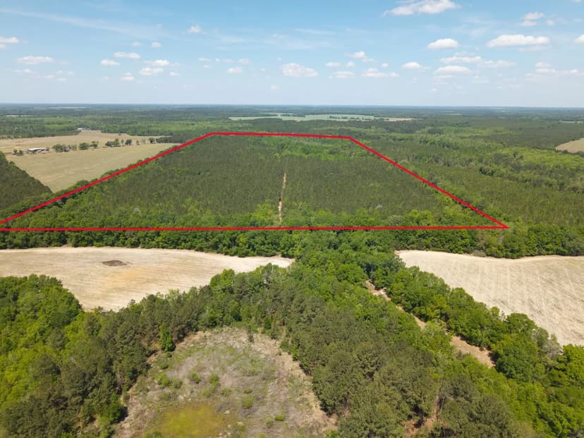 Phillips Farm | Fantastic Hunting & Beautiful Woods