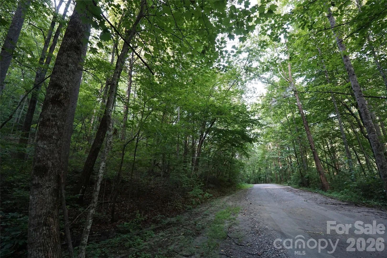 Lots & Land-Other in Lake Lure - Lake Lure, North Carolina, 28746