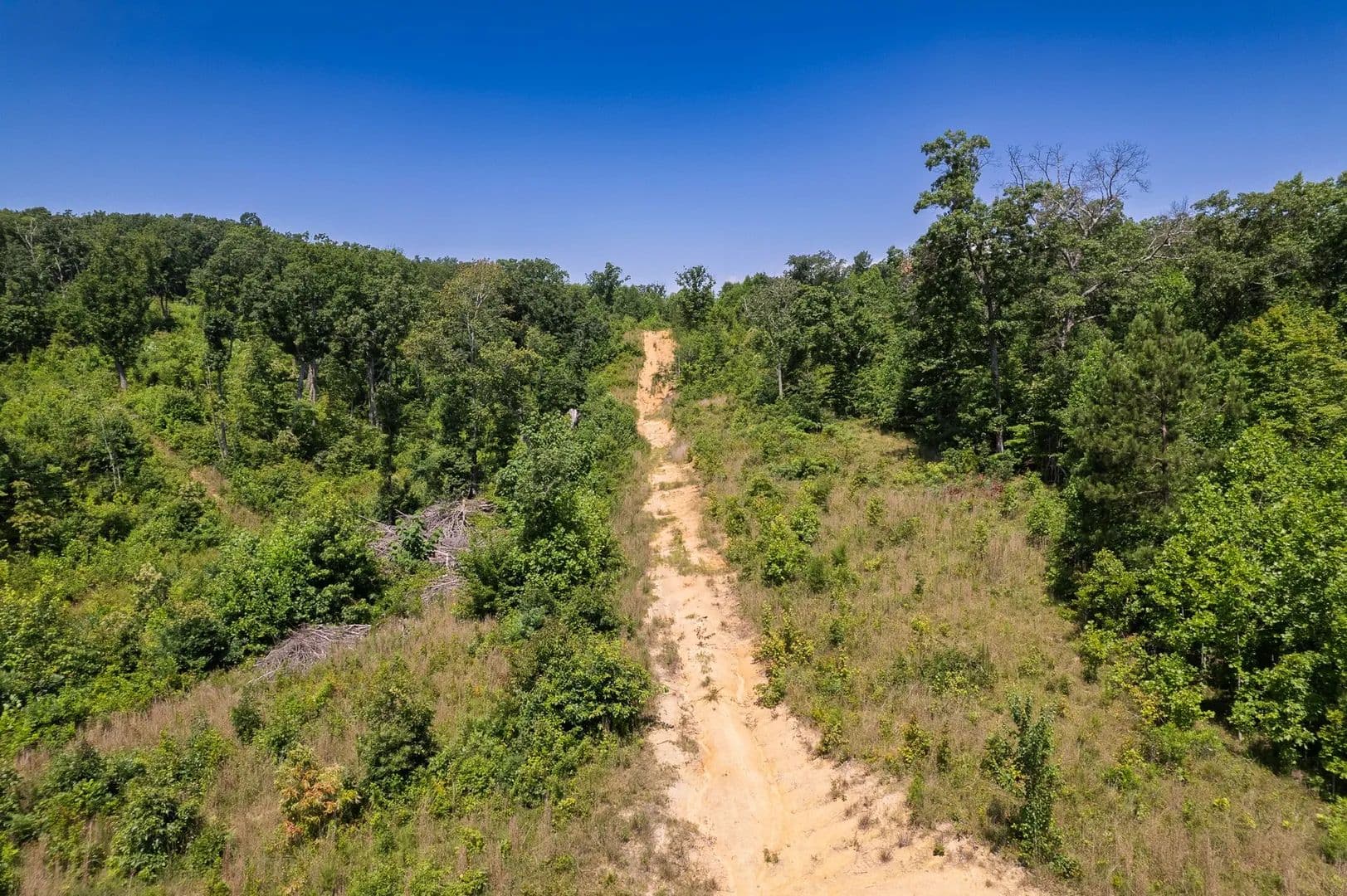 3.61± Acres of Wooded Land Near Chattanooga | Dade County, GA - Trenton, Georgia, 30752