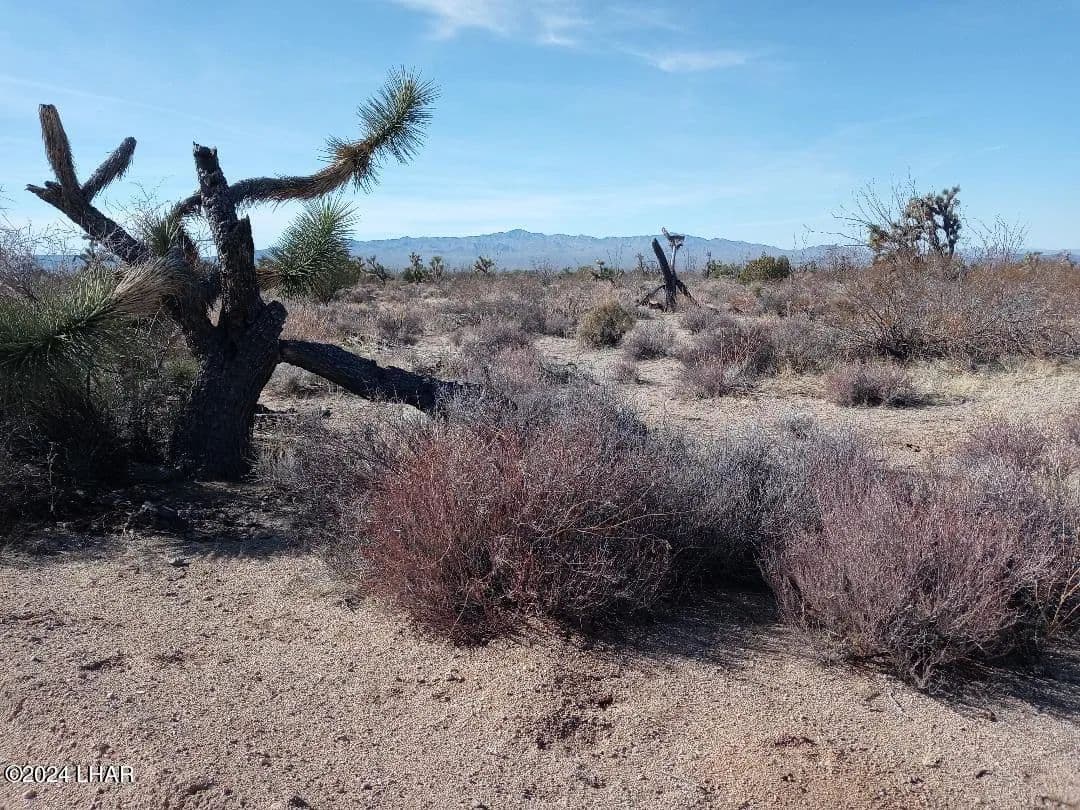 Vacant Land in Yucca - Yucca, Arizona, 86438
