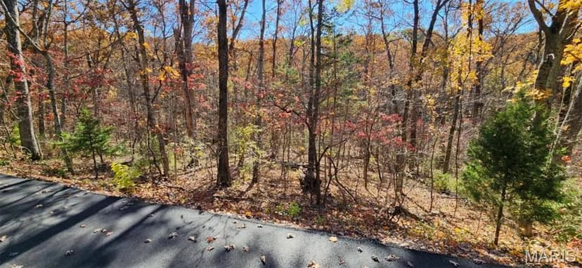 Vacant Land in Marthasville