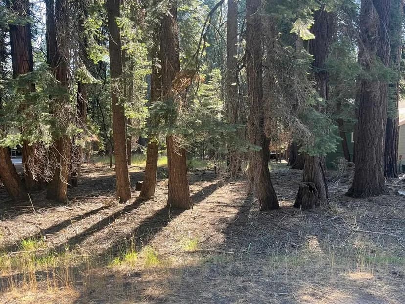 Vacant Land in Lake Almanor