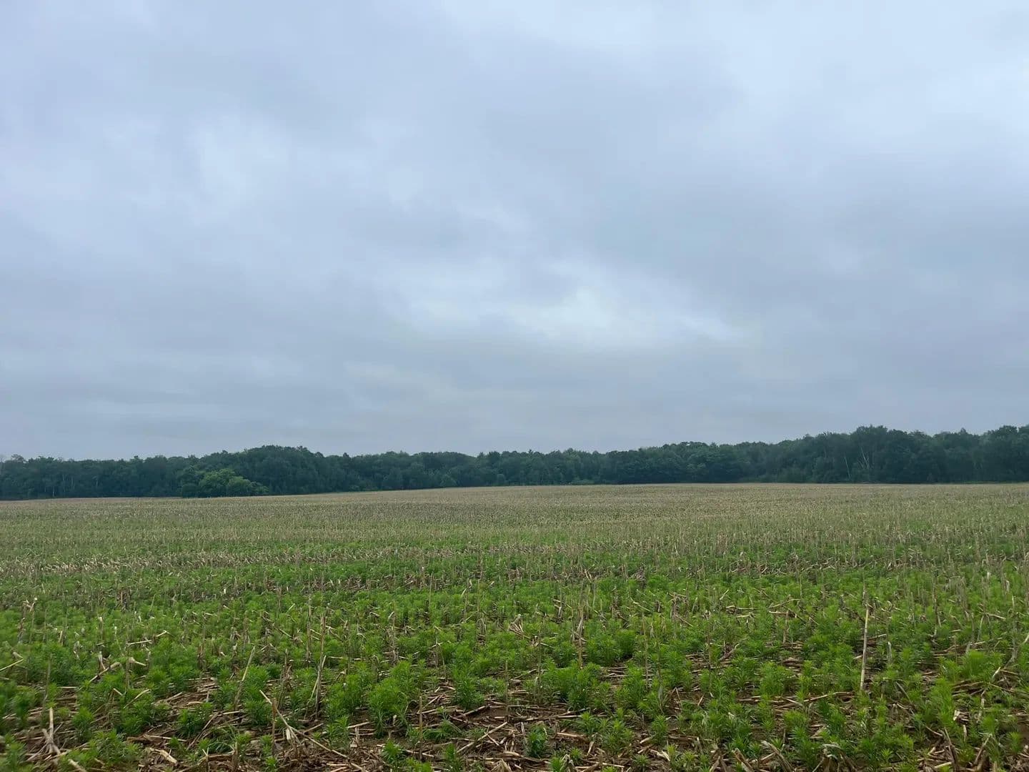 Property from TBD (Lot 2) Hemingway Avenue - KW - North Branch, Minnesota, 55056