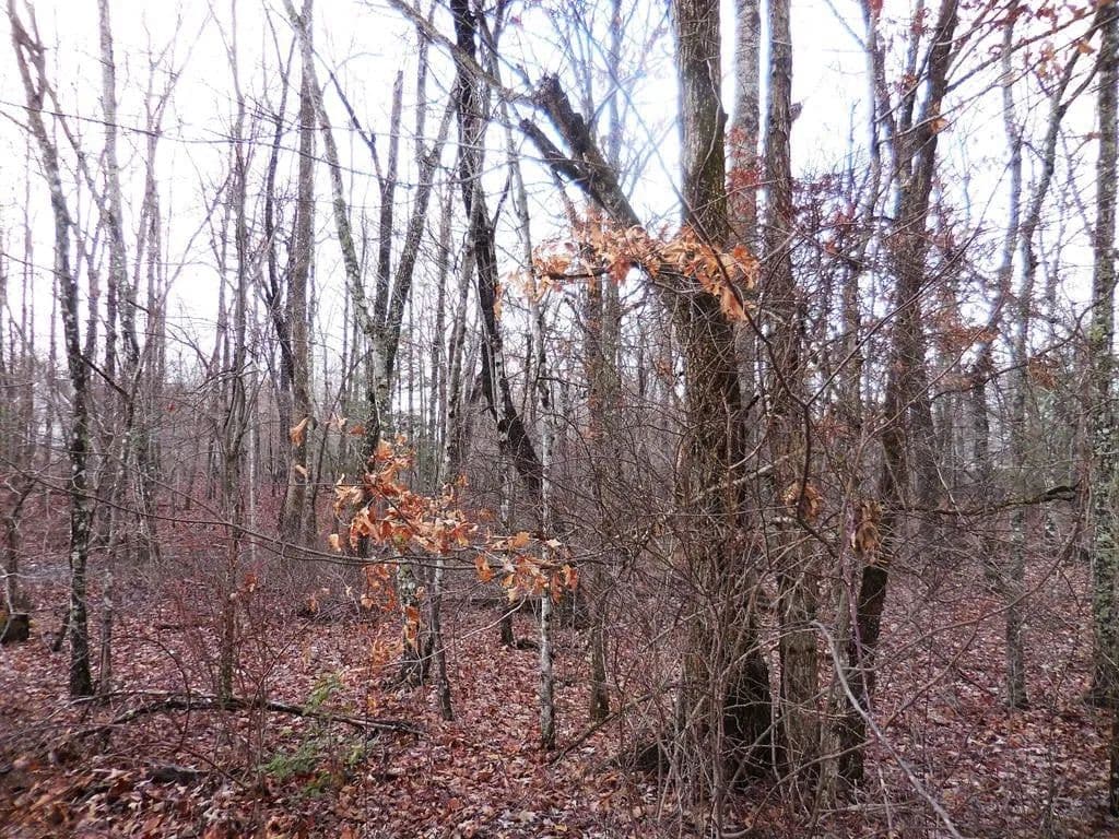 Lots & Land-Other in Crossville - Crossville, Tennessee, 38572