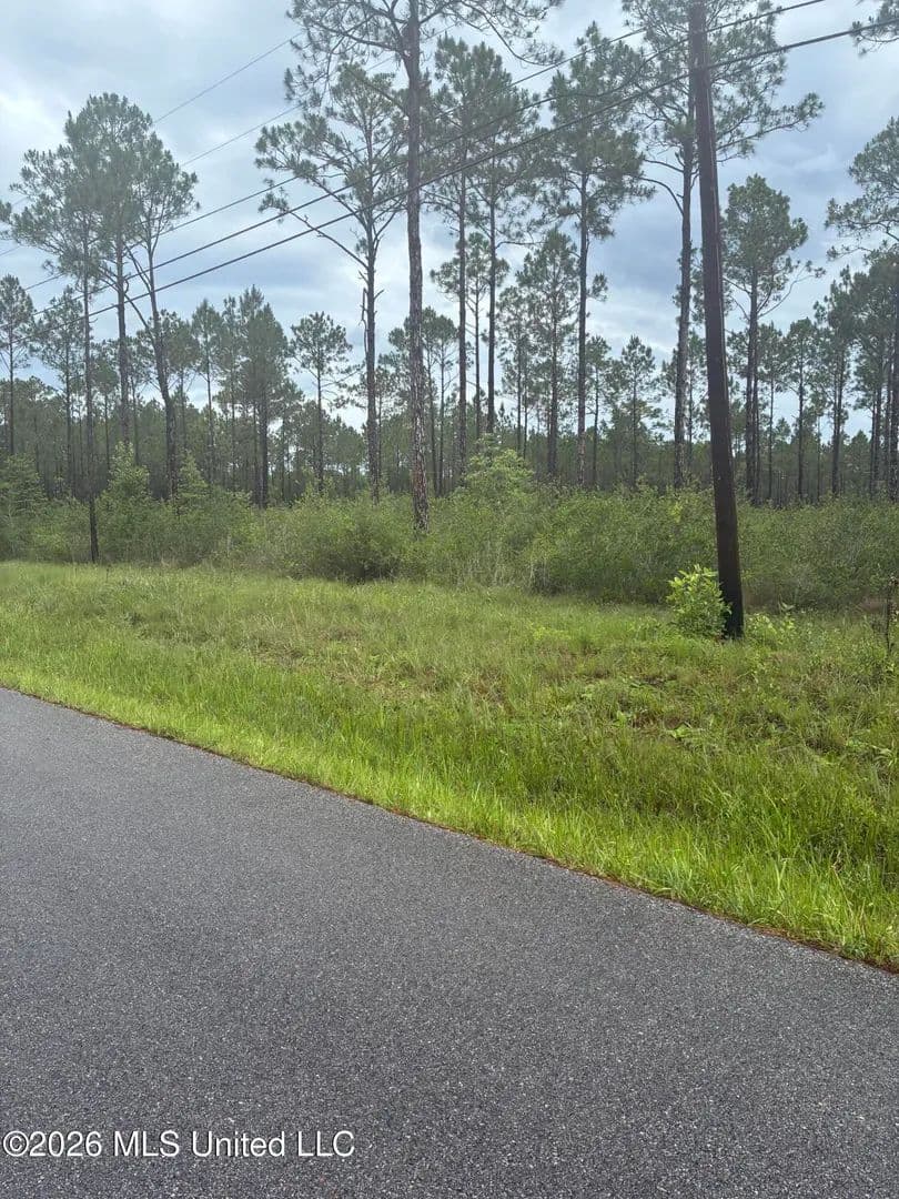 Property from Lot 1 Presley Road - KW - Moss Point, Mississippi, 39562
