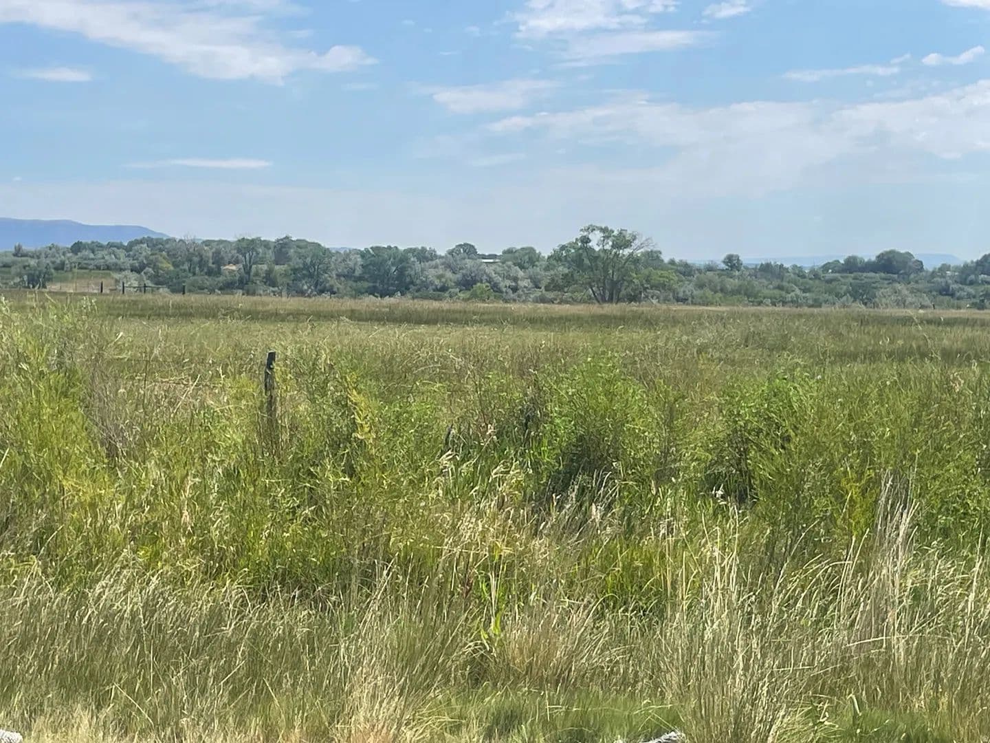 Lots & Land-Other in Neola - Neola, Utah, 84053