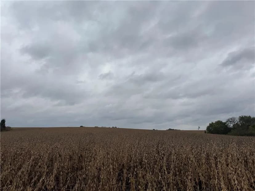 Property from Quartz and Elm Street - KW