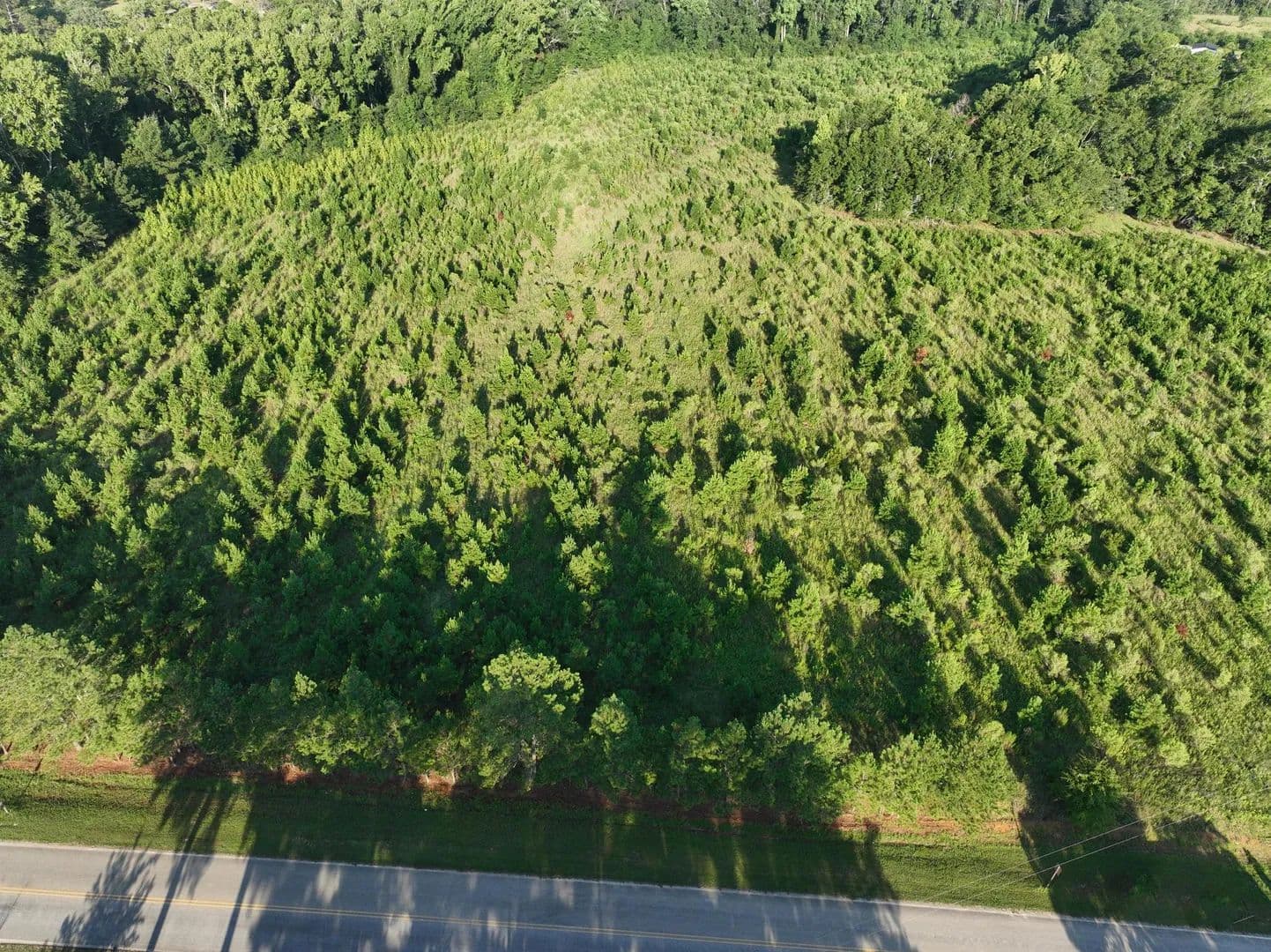 Land -Agricultural (Not Zoned) in Portal - Portal, Georgia, 30450