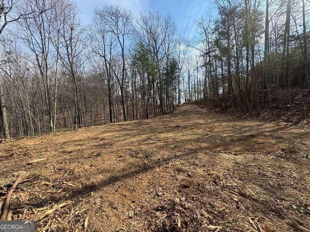 1.82 Acres of Land for Sale in Ranger, GA - Ranger, Georgia, 30734