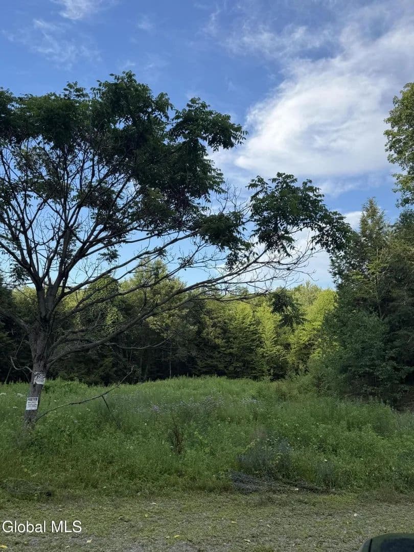Land -Single Family Acreage in Granville - Granville, New York, 12832