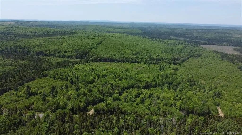 Property from - Rte 695 - KW - Canada
