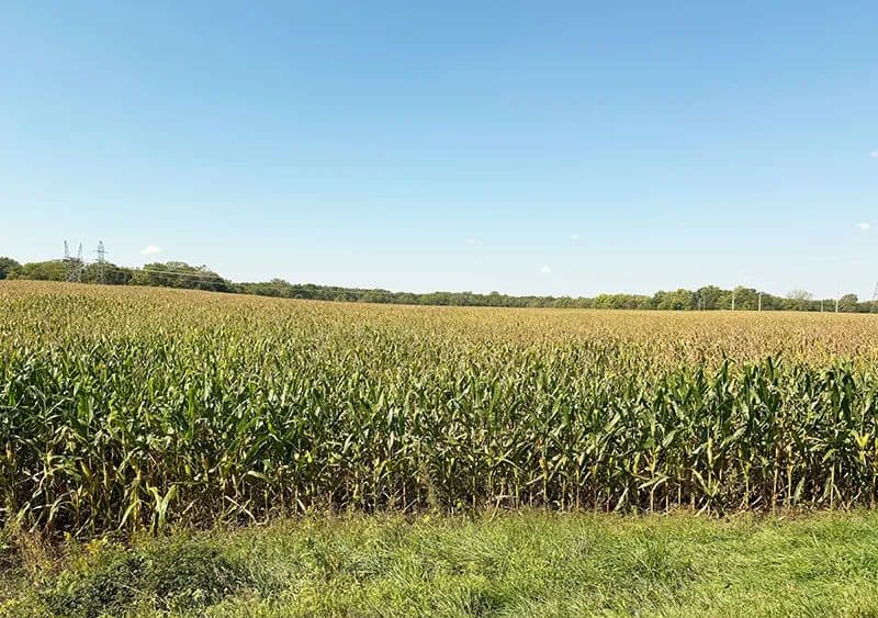 Searight Family Trust Farm