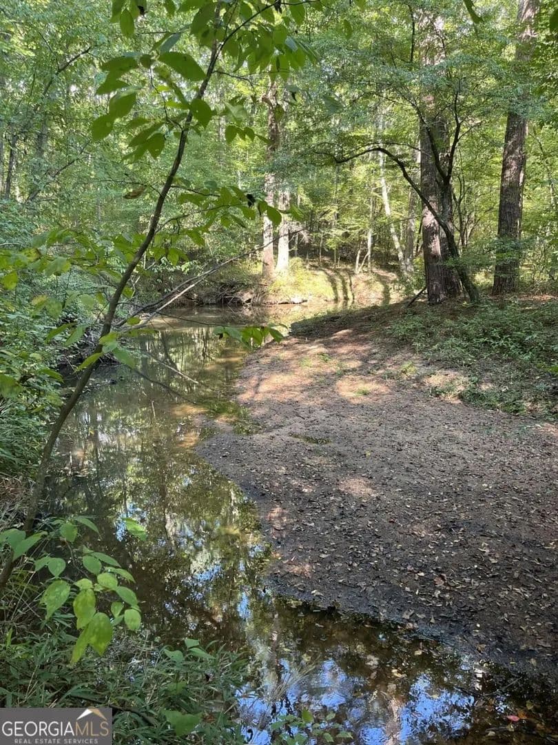 Vacant Land in Winterville - Winterville, Georgia, 30683