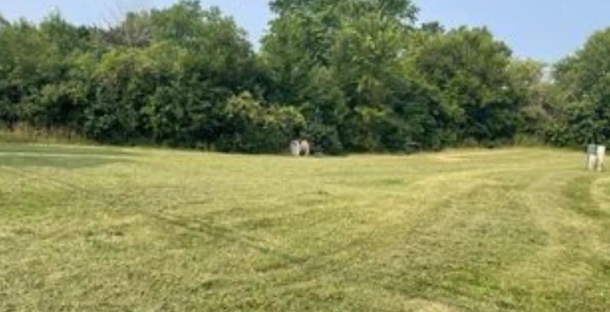 Vacant Land in Grayslake - land for sale
