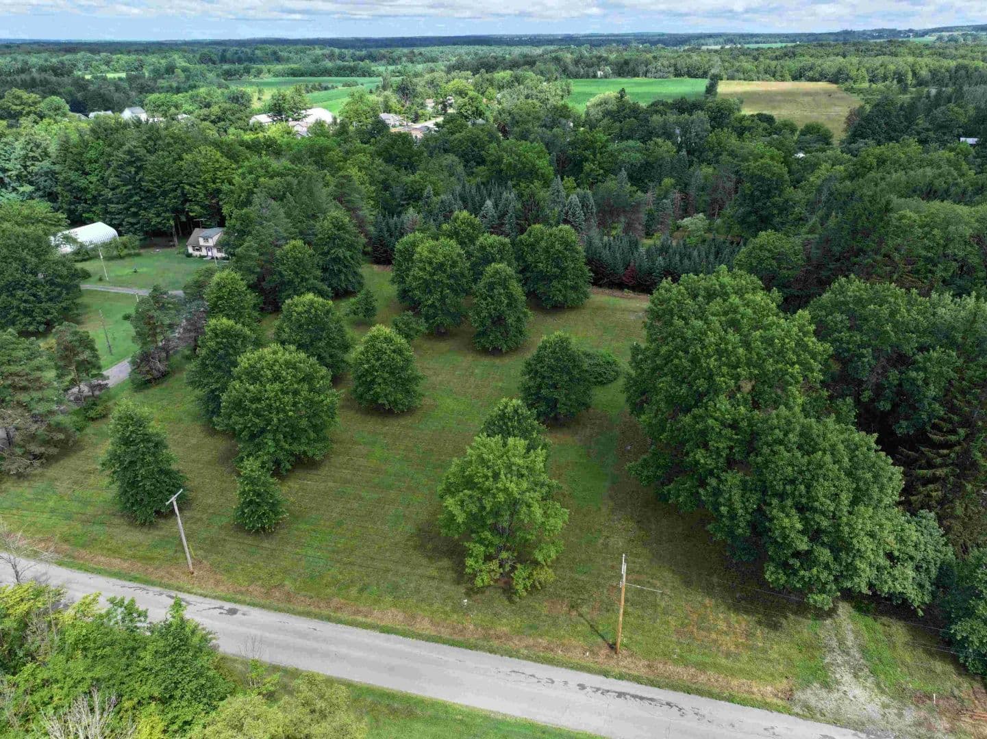 6.8 acre Building Lot with Pond and Creek on Dead End Road in Collins NY Mill St - Collins, New York, 14034