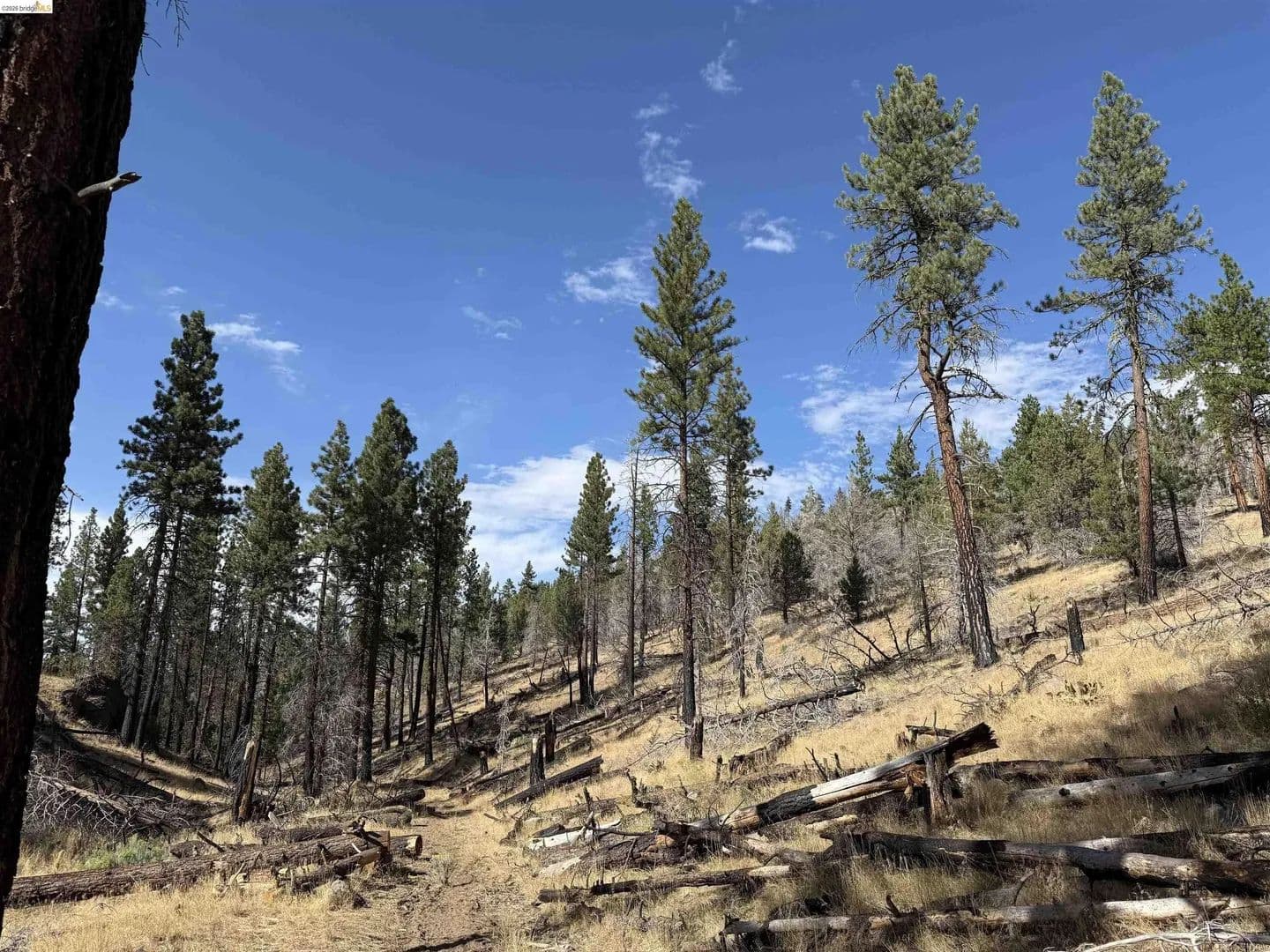 Lots & Land-Other in Susanville - Susanville, California, 96127