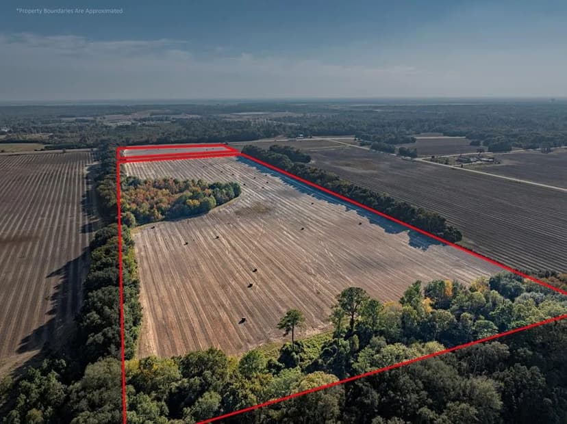 Property from 3431 Gladys Court - KW