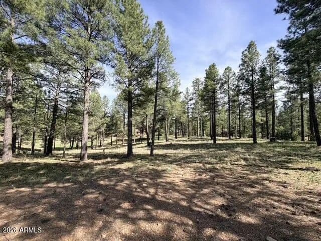 Property from 3698 S Woodland Hills Drive #383 - KW - Flagstaff, Arizona, 86005