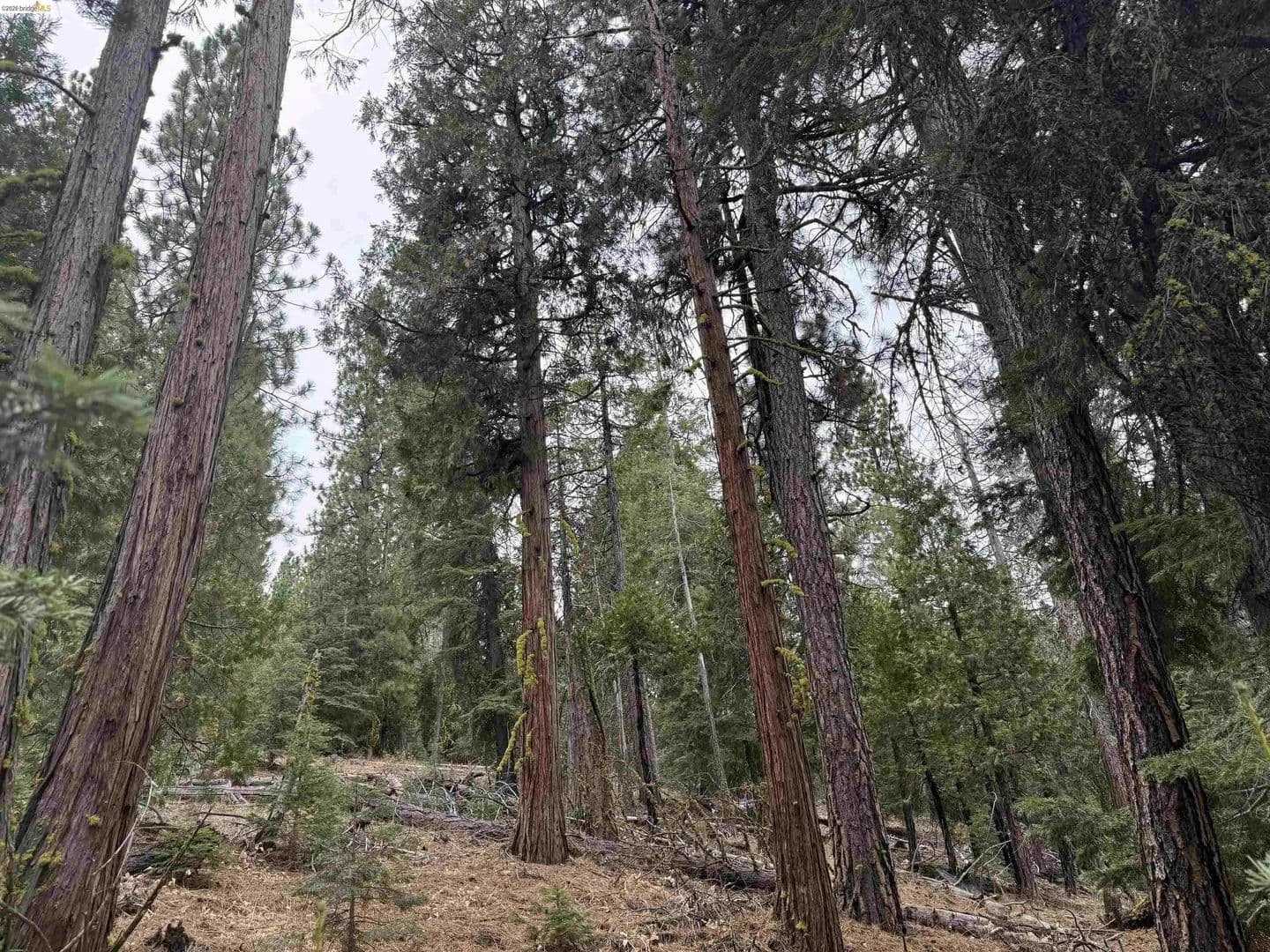 Lots & Land-Other in Alturas - Alturas, California, 96101