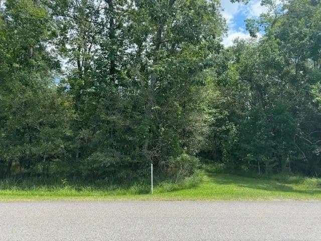 Land -Single Family Acreage in Sour Lake - Sour Lake, Texas, 77659