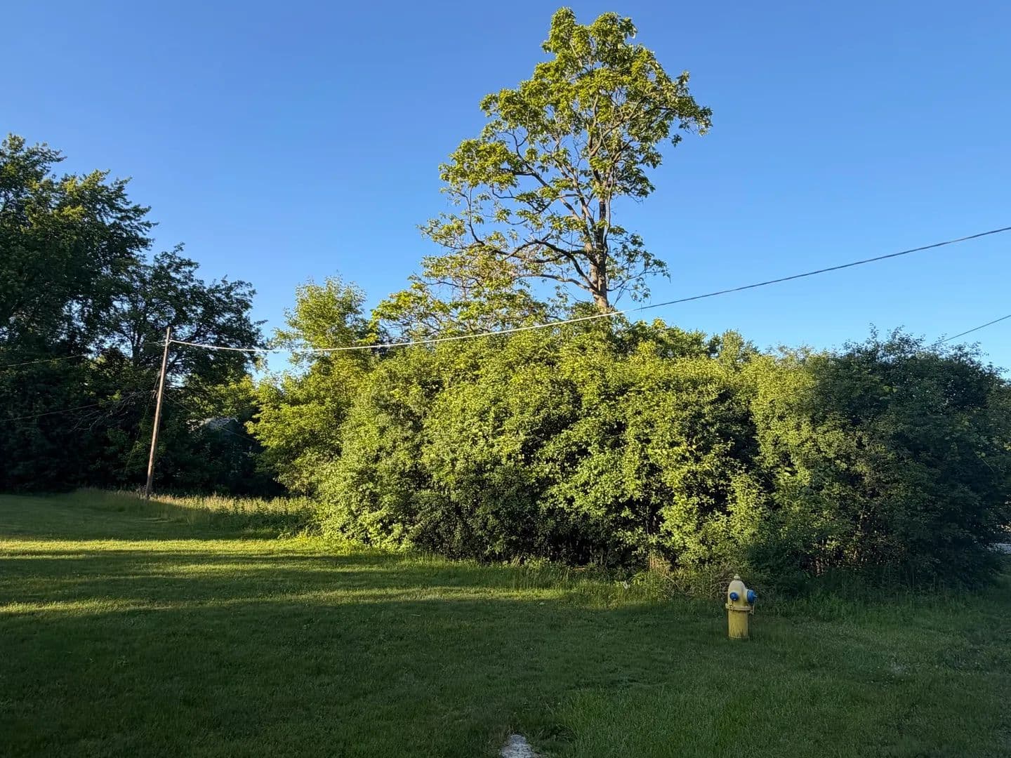 Vacant Land in Lake Bluff - Lake Bluff, Illinois, 60044
