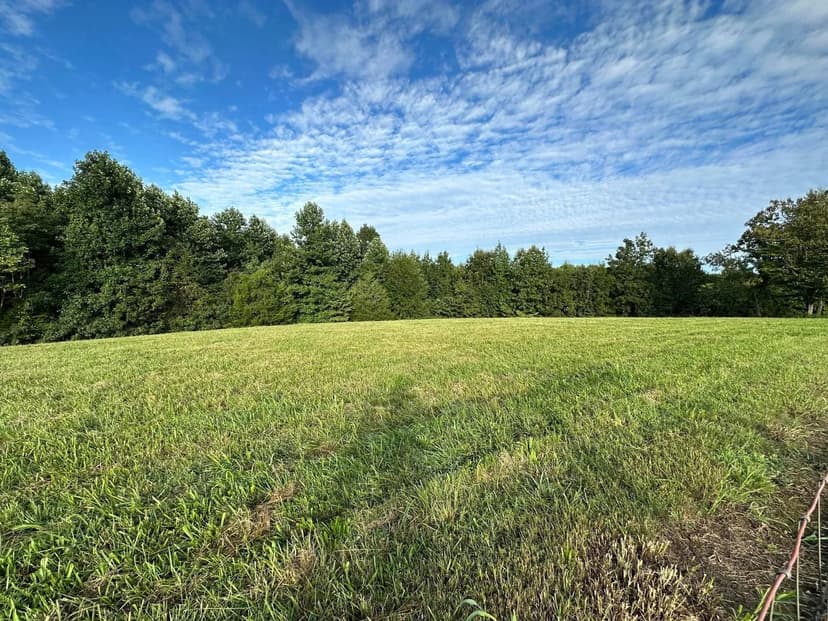 Lots & Land-Other in Wartrace
