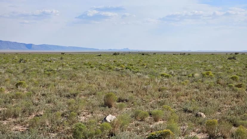 Land -Single Family Acreage in Socorro