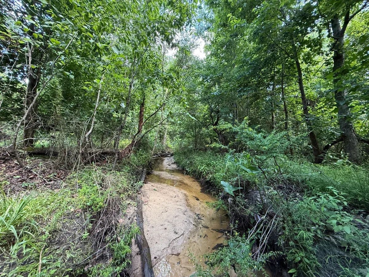 Jenkins Creek - Sneads, Florida, 32442