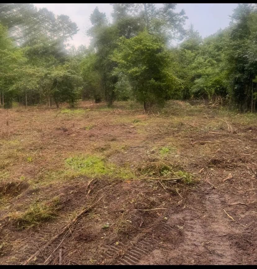 Vacant Land in Summerville
