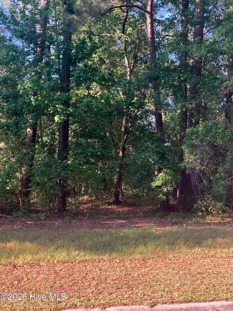 Vacant Land in Wallace